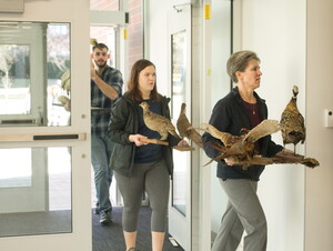Students carry in taxidermied animals.