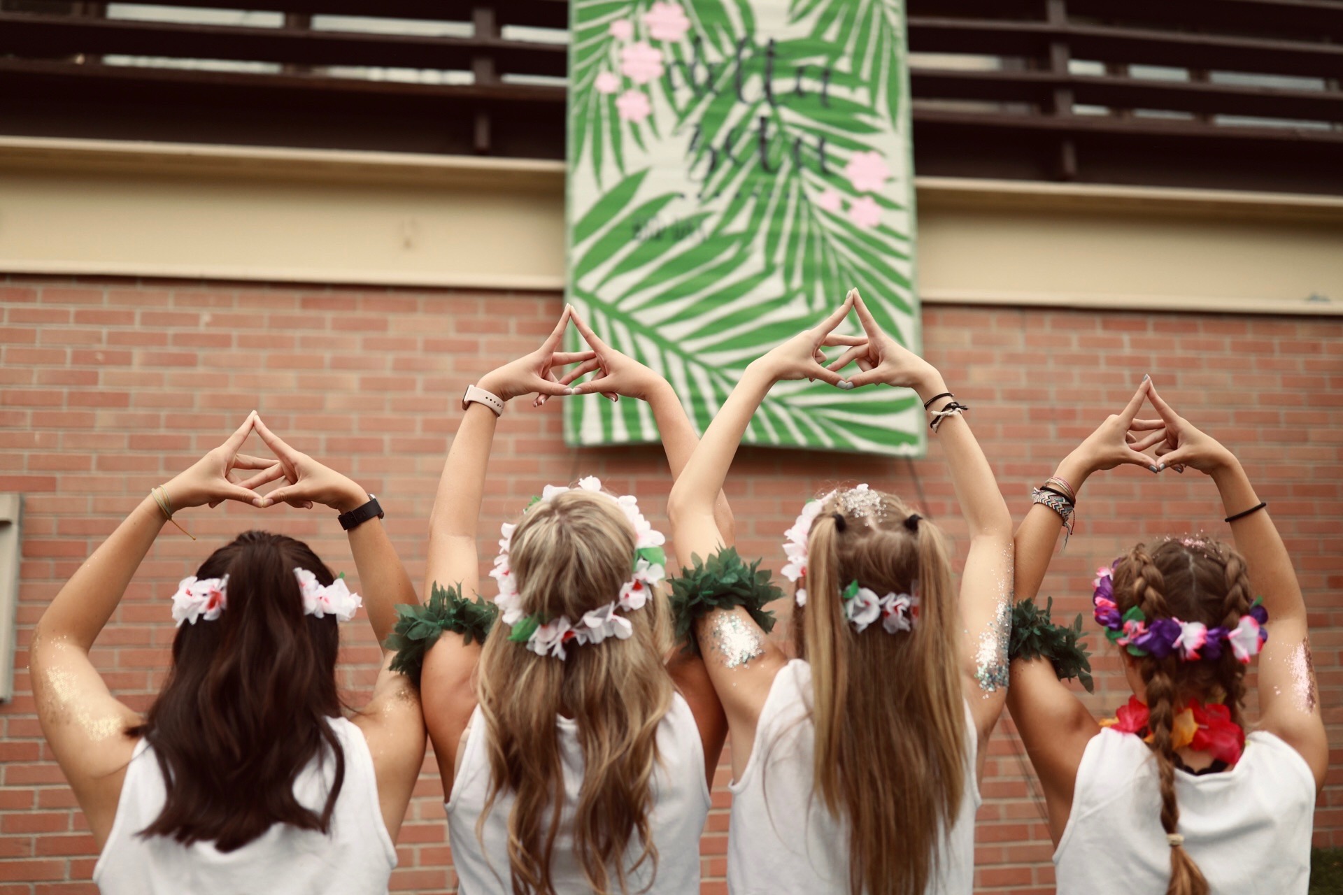 four women with backs to camera doing the delta zeta sign with their hands