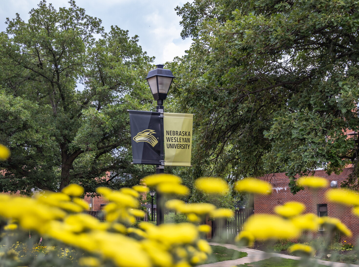 Campus beauty shot with NWU sign on a light pole.