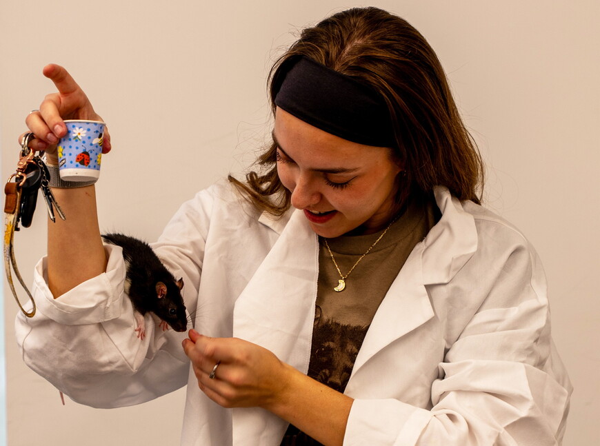 A student rewards her rat during the 2025 Xtreme Rat Challenge.