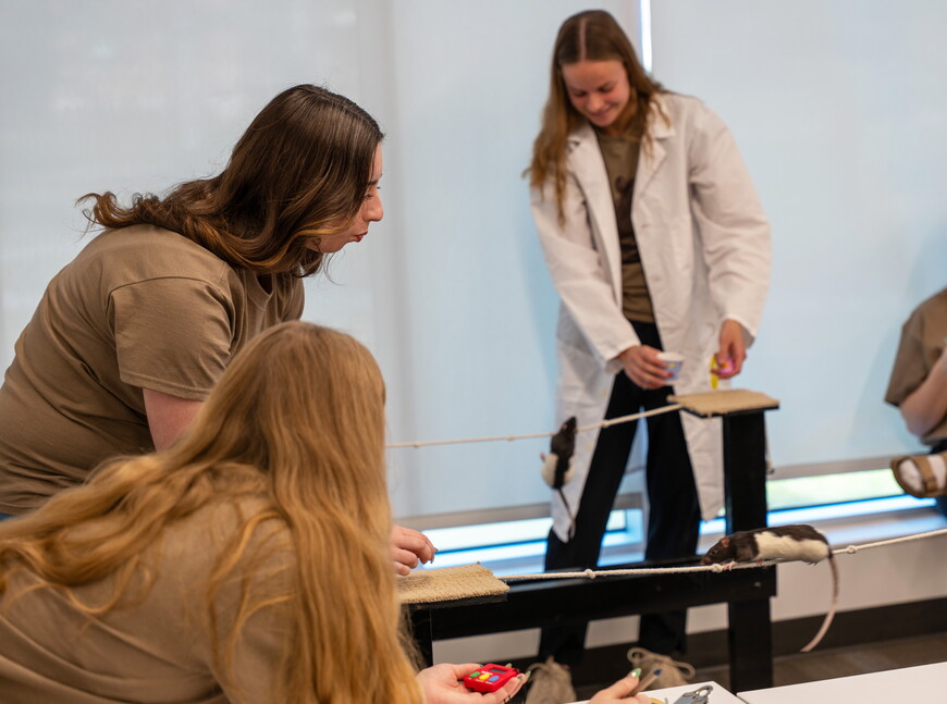 Rats and their student partners compete in the 2025 Xtreme Rat Challenge