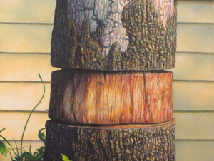 tree trunk