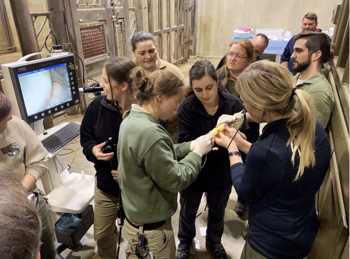 Dr. Kari Morfeld and her students