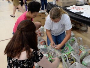 Bagging food