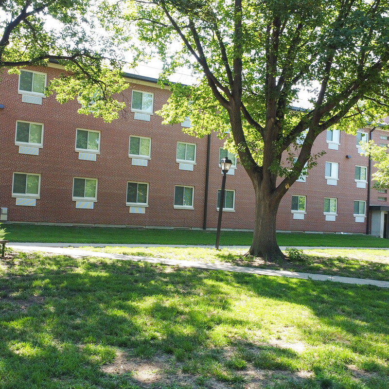 Pioneer Hall from the west side with trees in the foreground.