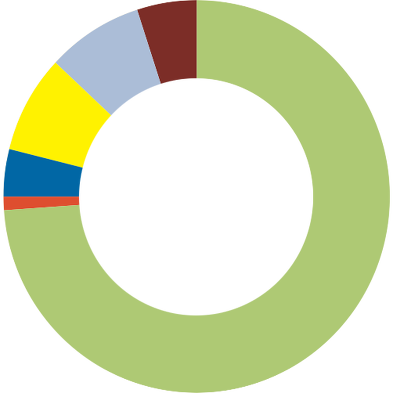 A circle graph showing different colors representing a percentage of giving..