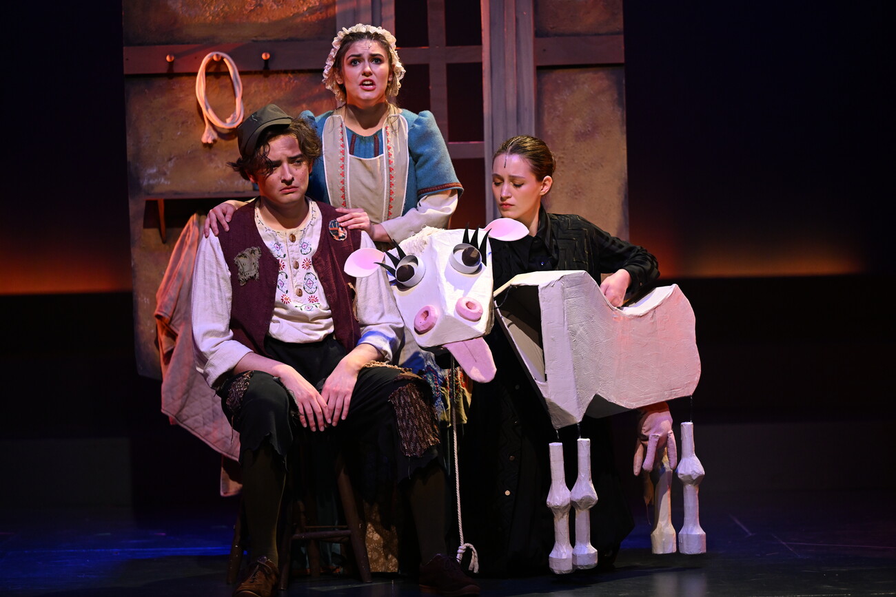 Production image 1 for Into the Woods